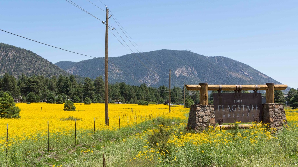 Entering sign Flagstaff in a moutnain landscape with yellow flowers