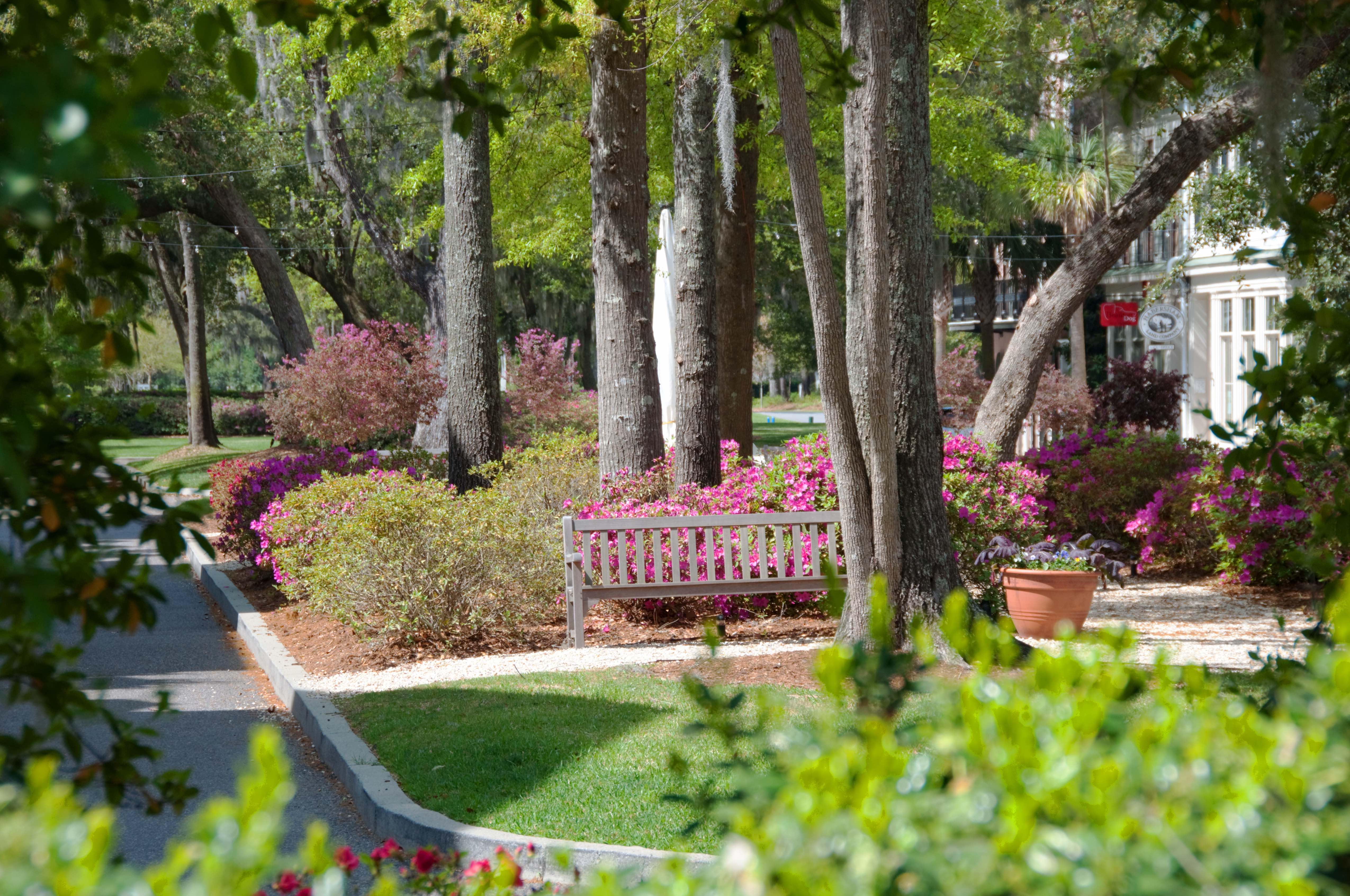 Habersham Town Center Near Beaufort, South Carolina