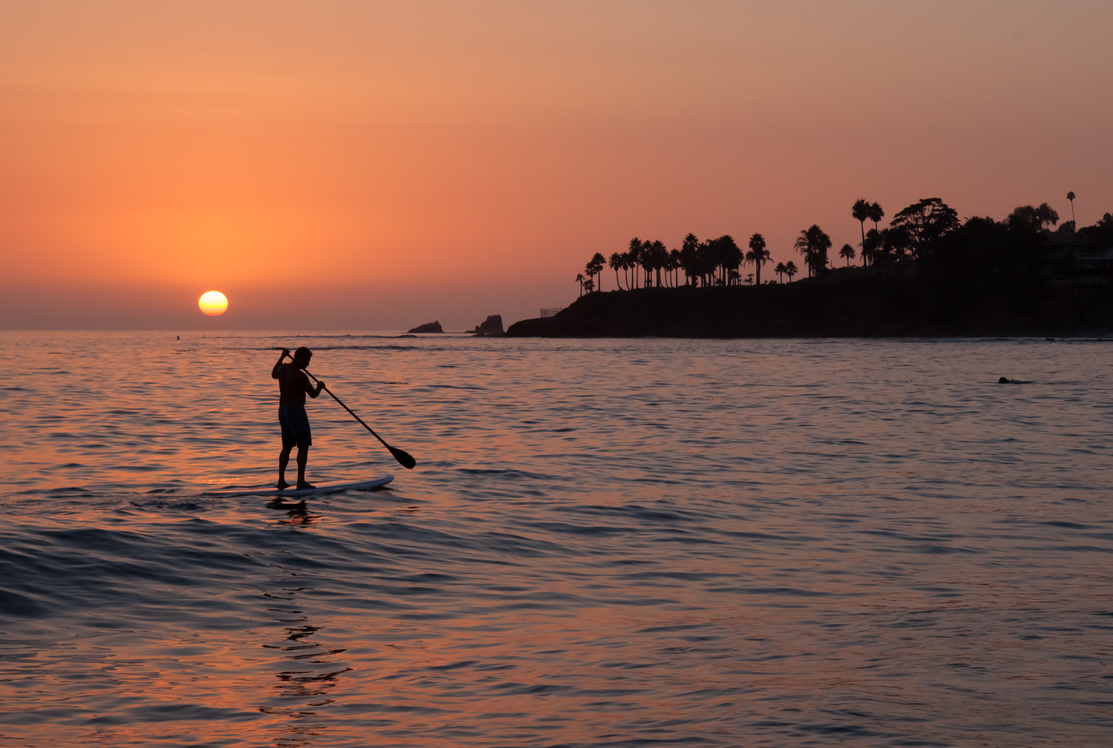 "Paddleboarder in Laguna Beach, California"