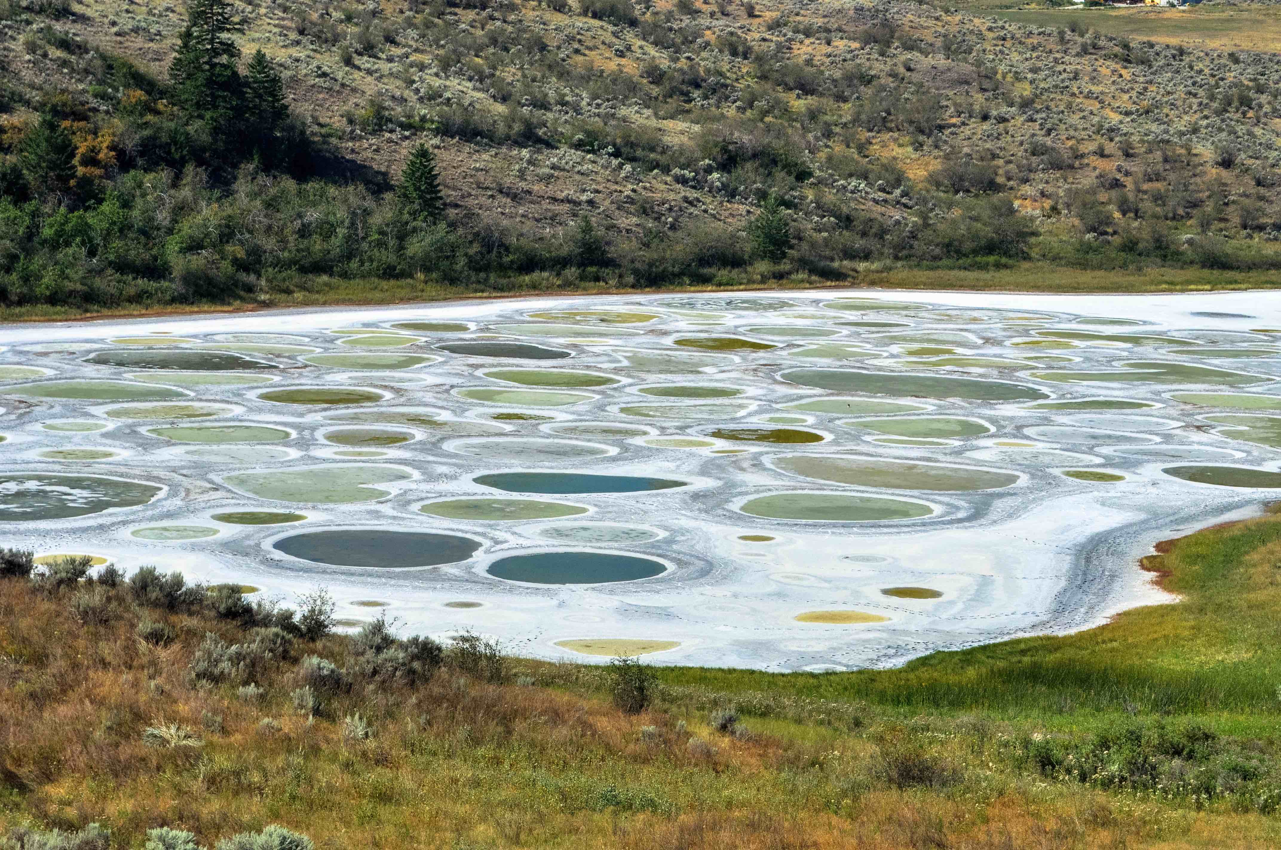 Spotted lake, BC